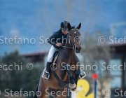 Indorami Tosc Tour2013- S5 1764 : Arezzo, Cavalli d'Italia, Indorami di Villa Giove, Toscana Tour 2013, foto di Stefano Secchi ©